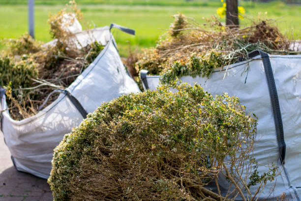 Best Full-Service Junk Removal  in Cartervle, IL